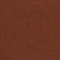 20" Meteor Burnt Orange Outdoor Pillow