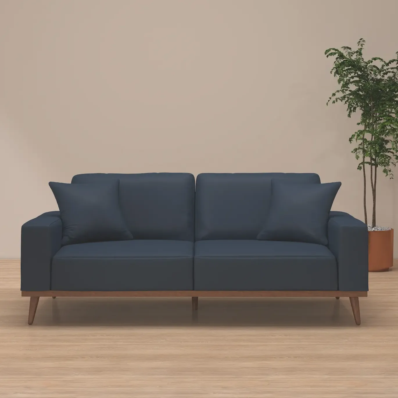 Ava Sofa with 2 Pillows