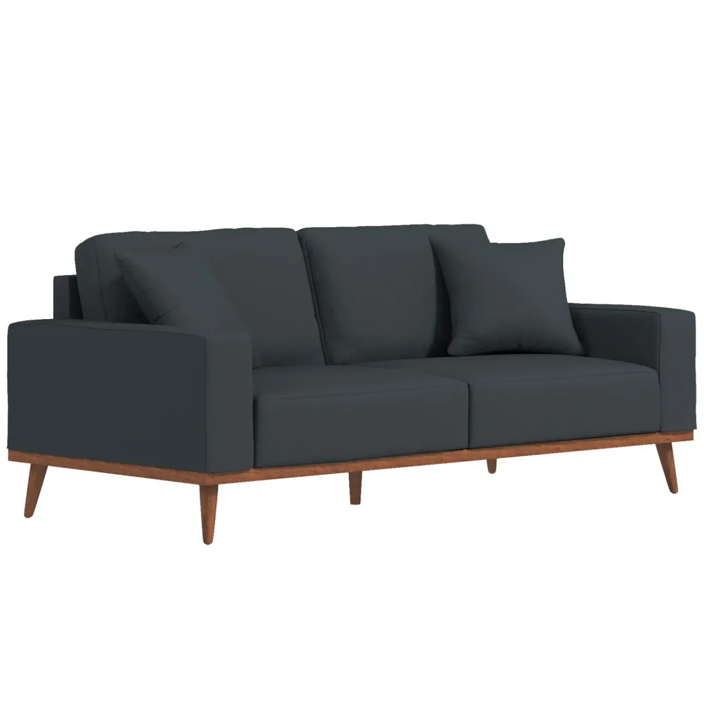 Ava Sofa with 2 Pillows