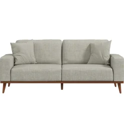 Ava Sofa with 2 Pillows