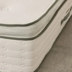 Avocado Green Mattress Plush Twin Mattress