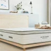 Avocado Green Mattress Plush Twin XL Mattress