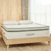Avocado Green Mattress Plush Twin XL Mattress