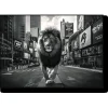 Lion in the City Wall Art