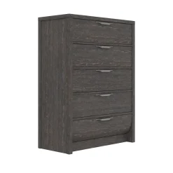 Ludlow Chest