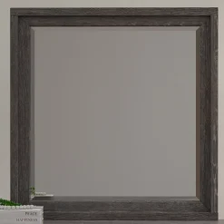 Ludlow Mirror