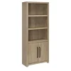 Perry Bookcase with doors