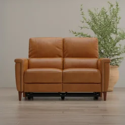 Remy Leather Power Reclining Loveseat with Power Headrests