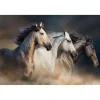 Running Horses Glass Wall Art