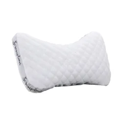 Scrumptious Pillow