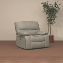 Trilogy Power Recliner